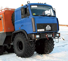 Шины